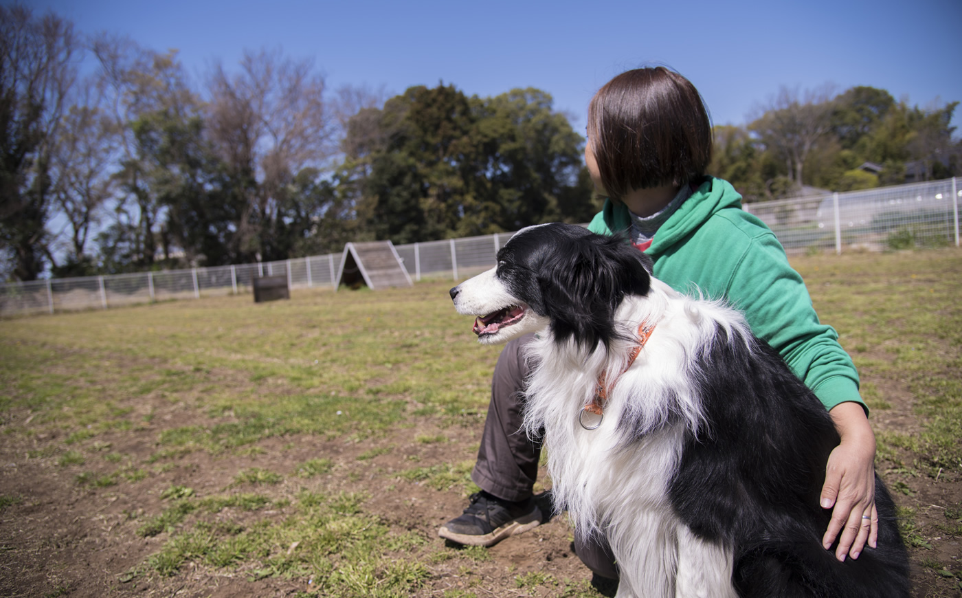 流山の犬しつけDOG TRAINING バロン