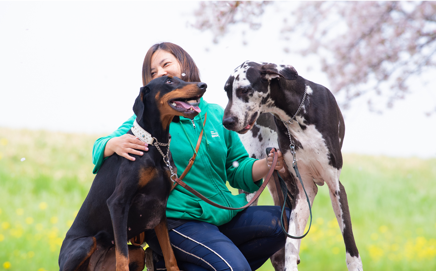 流山の犬　しつけ バロン