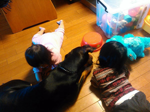 Dog Training バロン