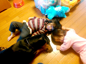 Dog Training バロン