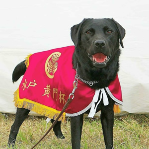 Dog Training バロン